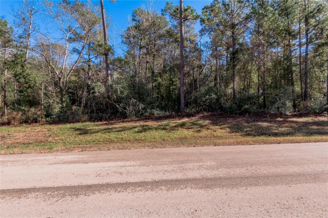 TBD Grassland Court, Huntsville, TX 77340