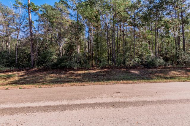 TBD Grassland Court, Huntsville, TX 77340