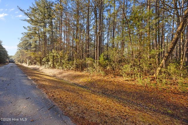 122 Headwaters Drive, Oriental, NC 28571