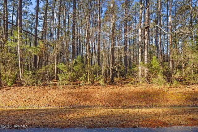 122 Headwaters Drive, Oriental, NC 28571