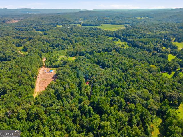 444 Nellie Lane, Trion, GA 30753