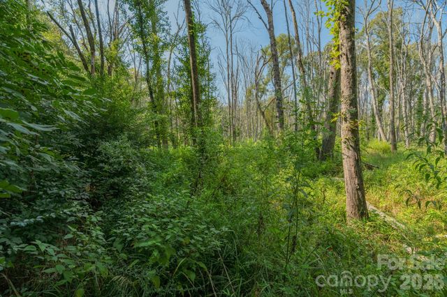 00 Stonehenge Court, Waxhaw, NC 28173