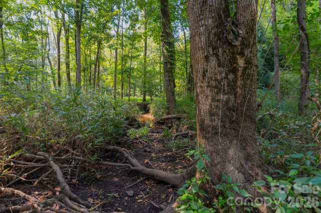 00 Stonehenge Court, Waxhaw, NC 28173