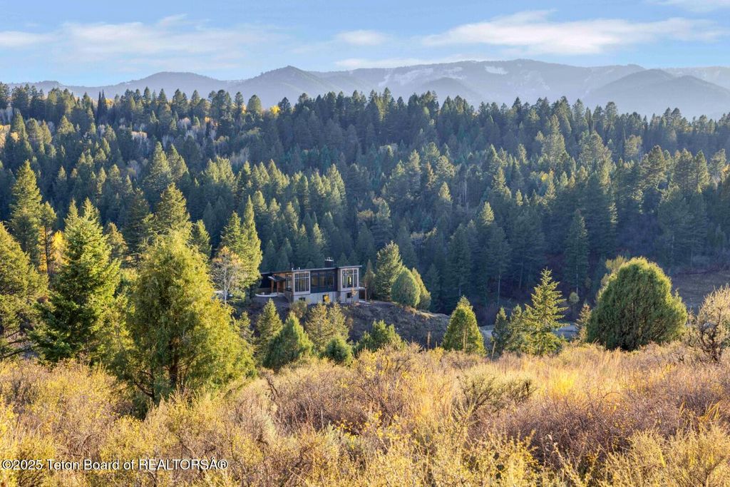 1480 CUTTHROAT RUN, Irwin, ID 83428 photo 55