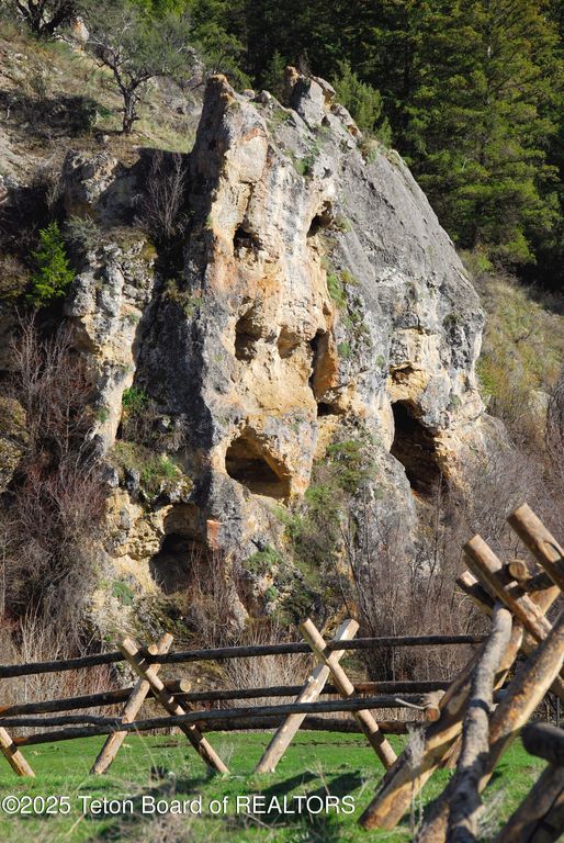 1480 CUTTHROAT RUN, Irwin, ID 83428 photo 59