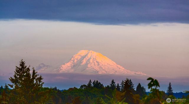 6218 37th Avenue NE, Seattle, WA 98115
