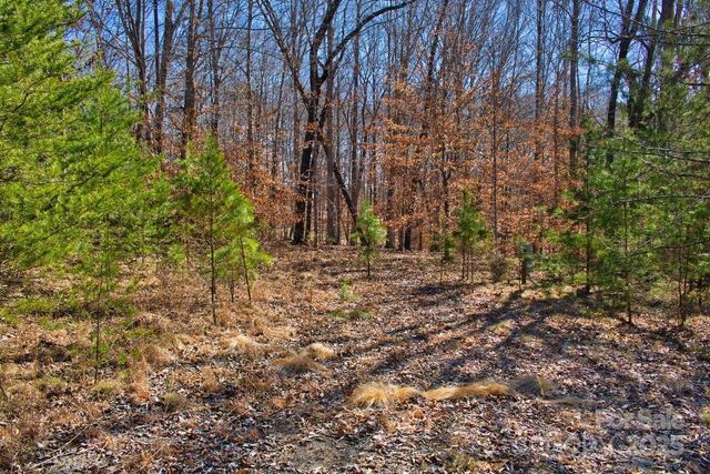 0 Cinnamon Ridge 404, Rutherfordton, NC 28139