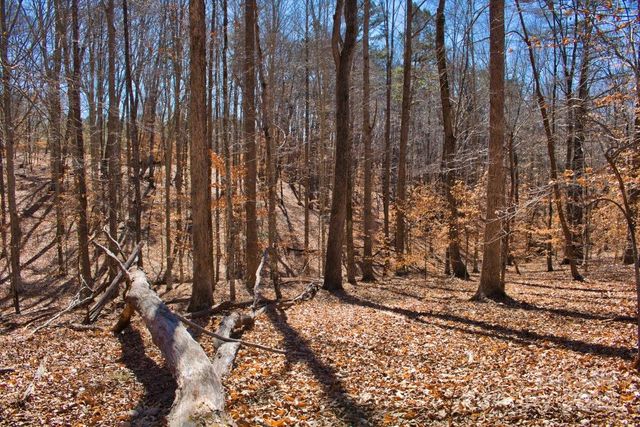 0 Cinnamon Ridge 404, Rutherfordton, NC 28139