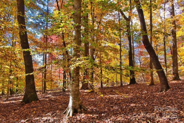 0 Cinnamon Ridge 404, Rutherfordton, NC 28139