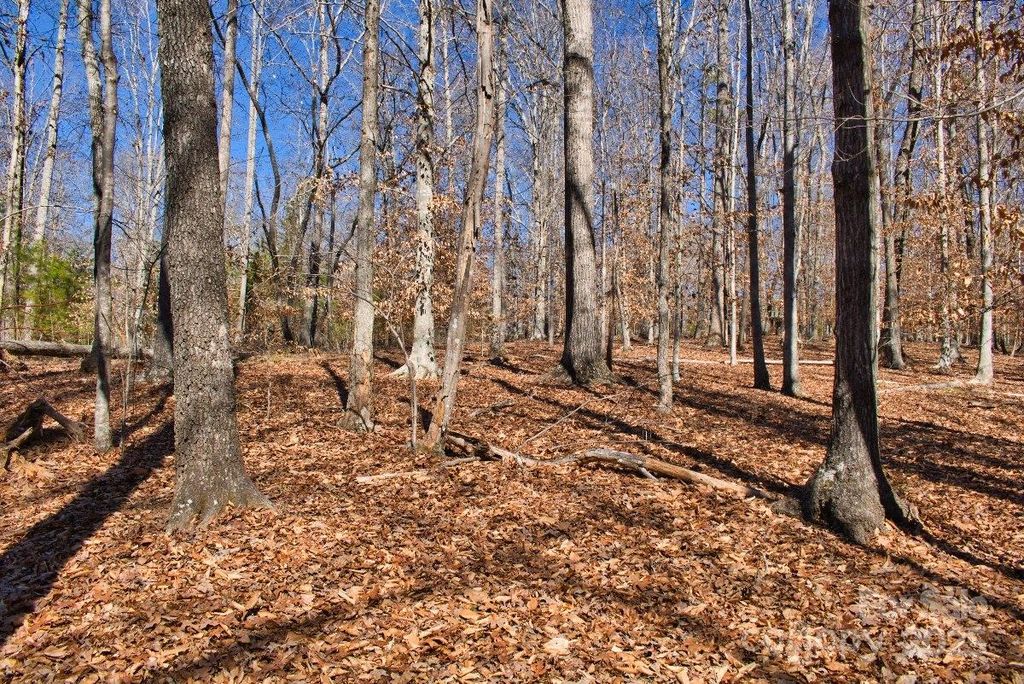0 Cinnamon Ridge 404, Rutherfordton, NC 28139