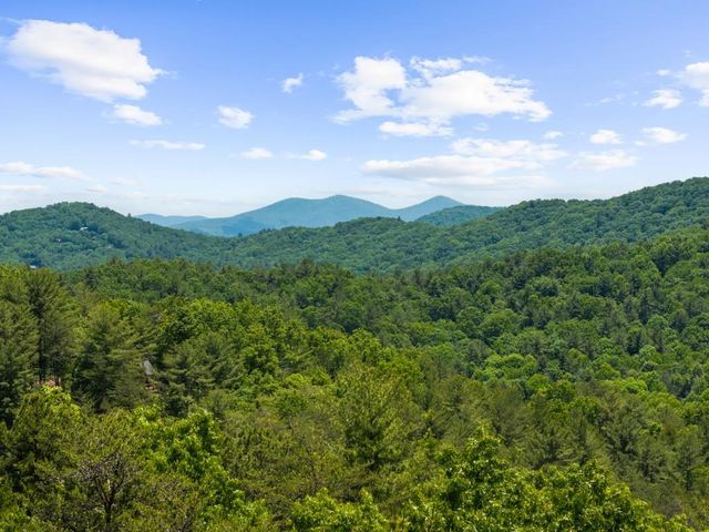 436 Geronimo Road, Blue Ridge, GA 30513