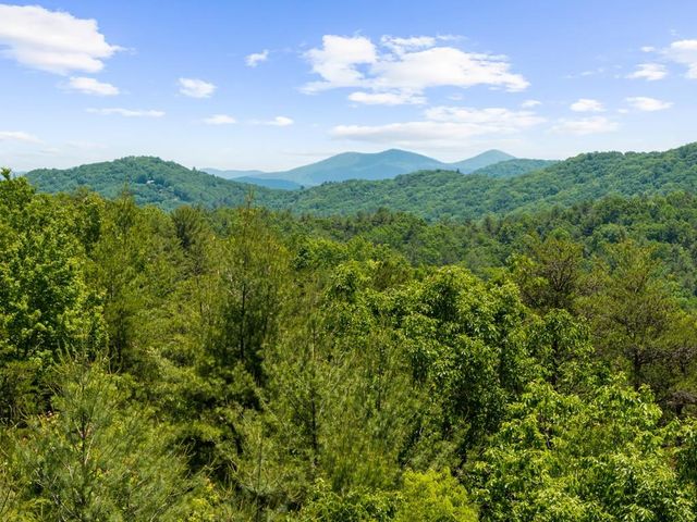 436 Geronimo Road, Blue Ridge, GA 30513
