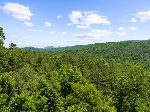 436 Geronimo Road, Blue Ridge, GA 30513