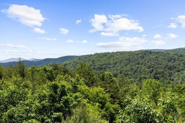 436 Geronimo Road, Blue Ridge, GA 30513