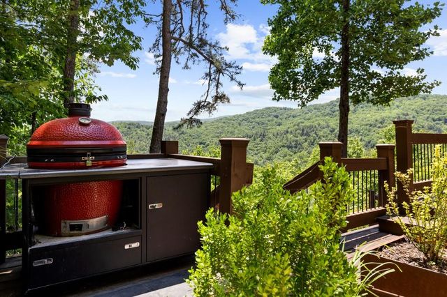 436 Geronimo Road, Blue Ridge, GA 30513