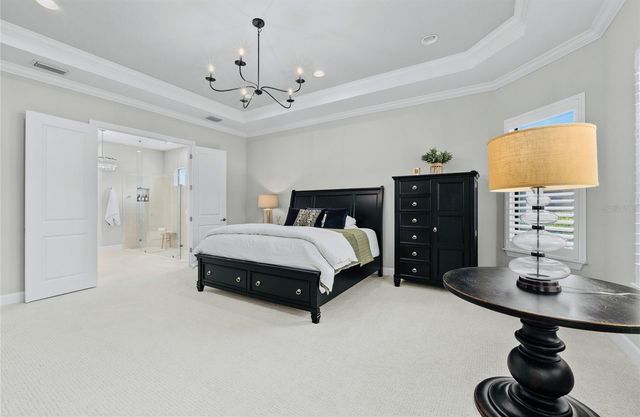 11411 JUGLANS DRIVE, Odessa, FL 33556