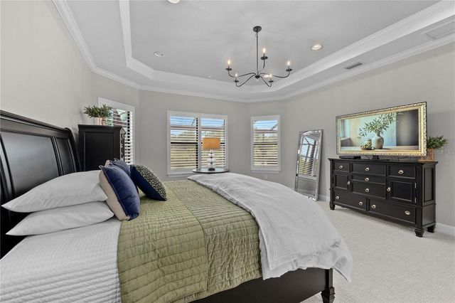 11411 JUGLANS DRIVE, Odessa, FL 33556