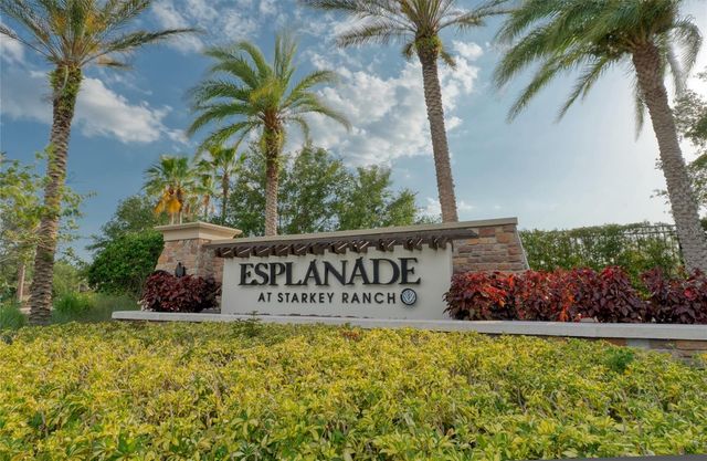 11411 JUGLANS DRIVE, Odessa, FL 33556