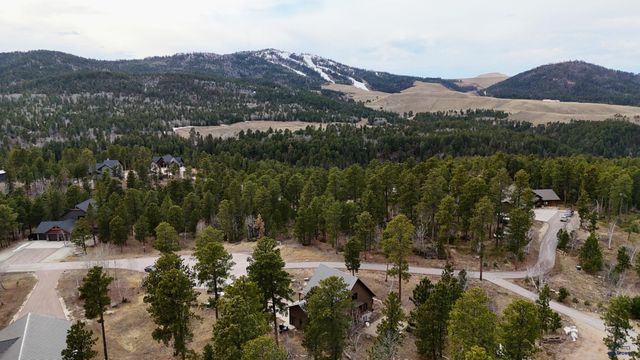 21244 RUBYS WAY, Lead, SD 57754