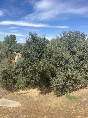 24502 Windsor A, Valencia, CA 91355