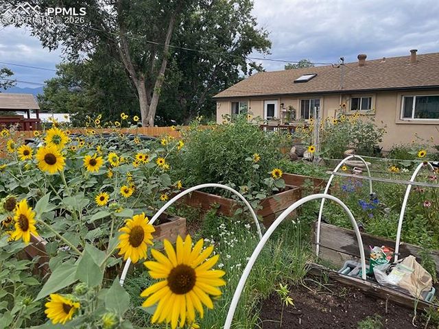 2007 Oriole Avenue, Colorado Springs, CO 80909