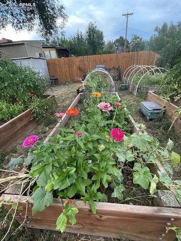 2007 Oriole Avenue, Colorado Springs, CO 80909