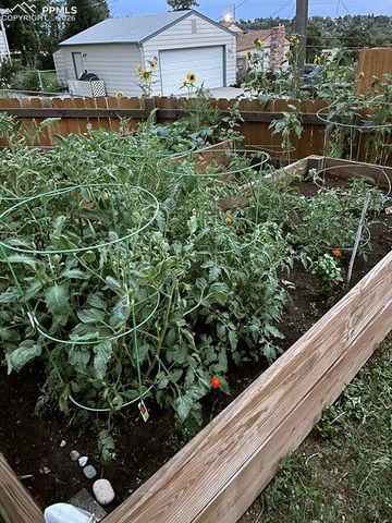 2007 Oriole Avenue, Colorado Springs, CO 80909