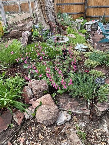 2007 Oriole Avenue, Colorado Springs, CO 80909