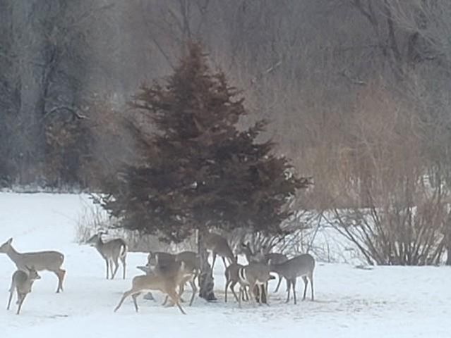 5730 SE 33 Highway, Osborn, MO 64474