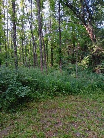 5730 SE 33 Highway, Osborn, MO 64474