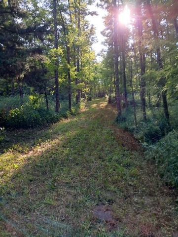 5730 SE 33 Highway, Osborn, MO 64474