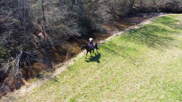 288 Happy Valley Drive, Blairsville, GA 30512