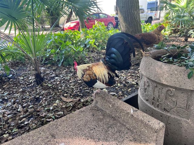 1305 SW 8th St, Miami, FL 33135