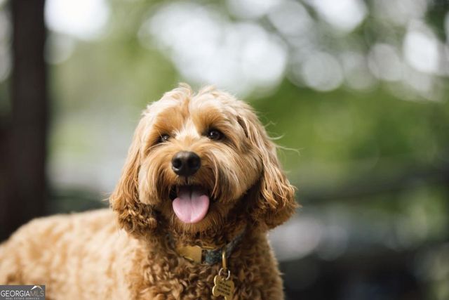 1570 Club Drive, Greensboro, GA 30642