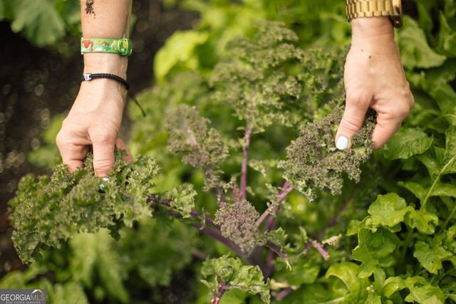 1570 Club Drive, Greensboro, GA 30642