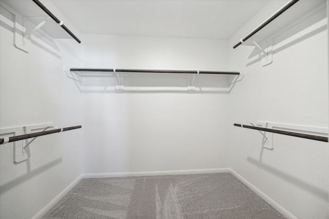 715 Gavin Walker Drive, Rosharon, TX 77583