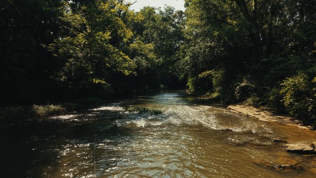 7124 Newfields Ct, College Grove, TN 37046