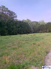TBD Devon Drive, Dillon, SC 29536