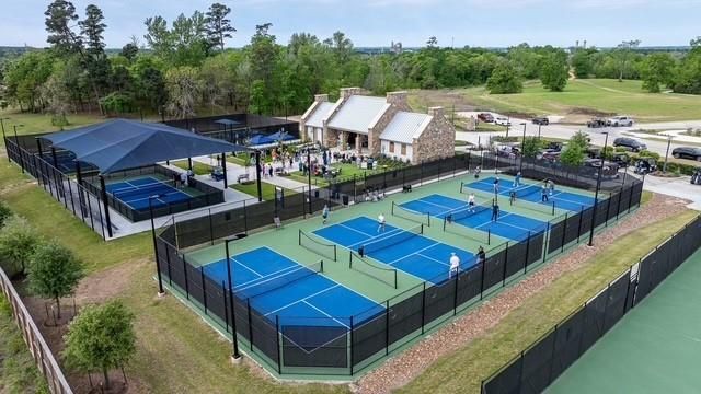 10530 Blue Indigo Court, Willis, TX 77318