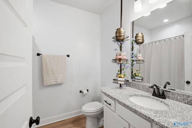 28365 Molly Bee Lane, Toney, AL 35773