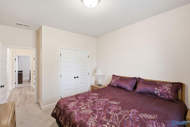 28365 Molly Bee Lane, Toney, AL 35773