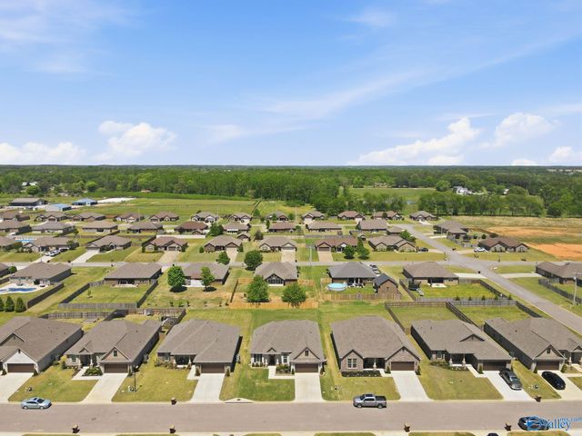28365 Molly Bee Lane, Toney, AL 35773