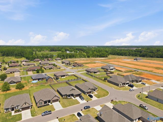 28365 Molly Bee Lane, Toney, AL 35773