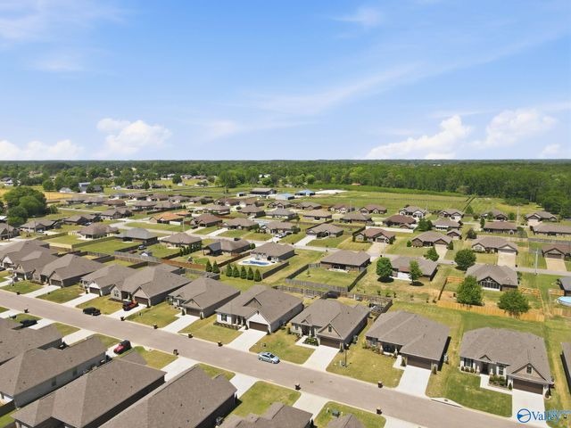 28365 Molly Bee Lane, Toney, AL 35773