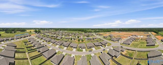 28365 Molly Bee Lane, Toney, AL 35773