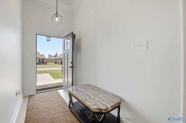 28365 Molly Bee Lane, Toney, AL 35773