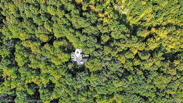 5511 Blood Road, Metamora, MI 48455