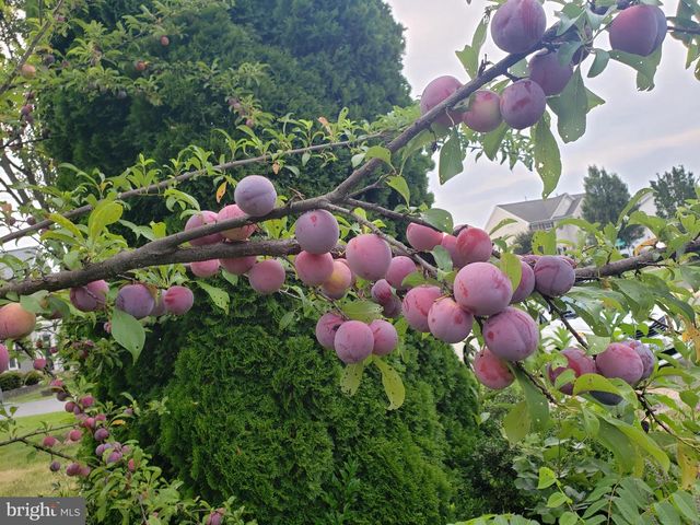 10416 MONTEROSA PL, Manassas, VA 20110