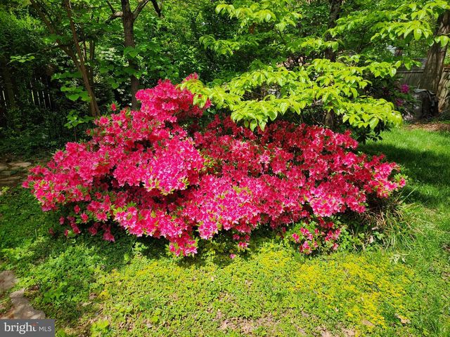 10416 MONTEROSA PL, Manassas, VA 20110