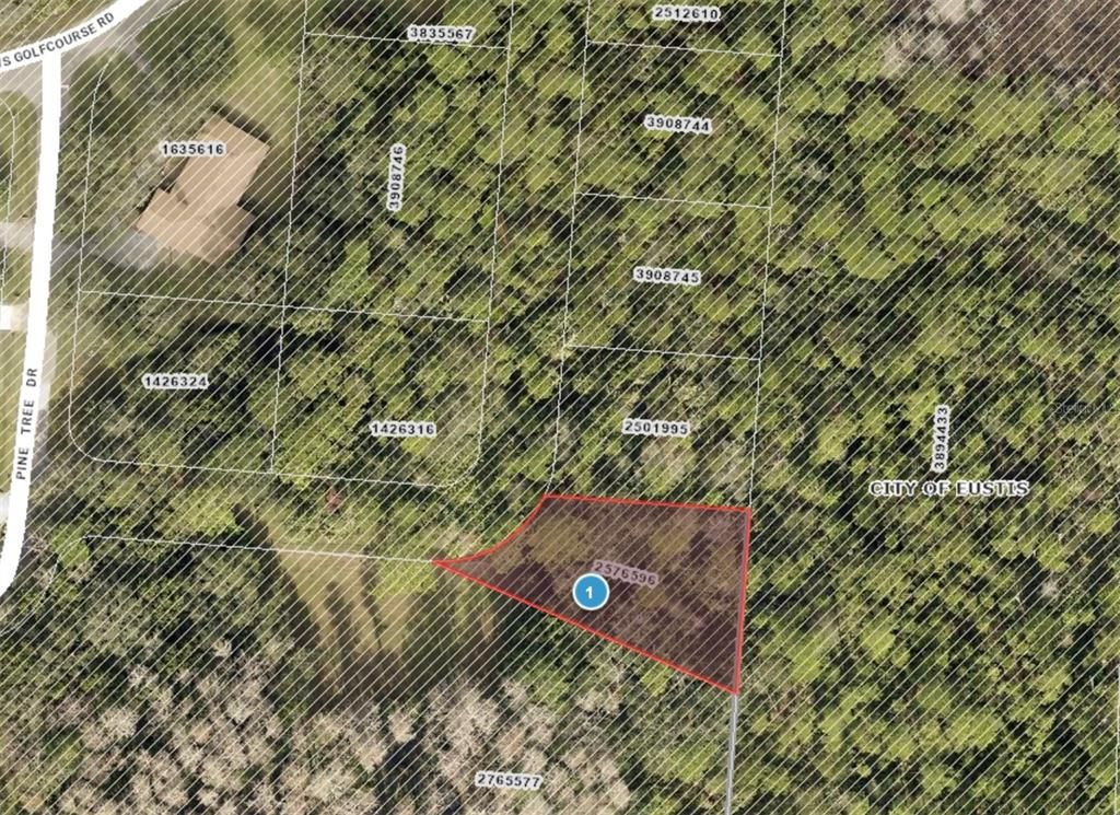 PINE TREE DRIVE, Eustis, FL 32726